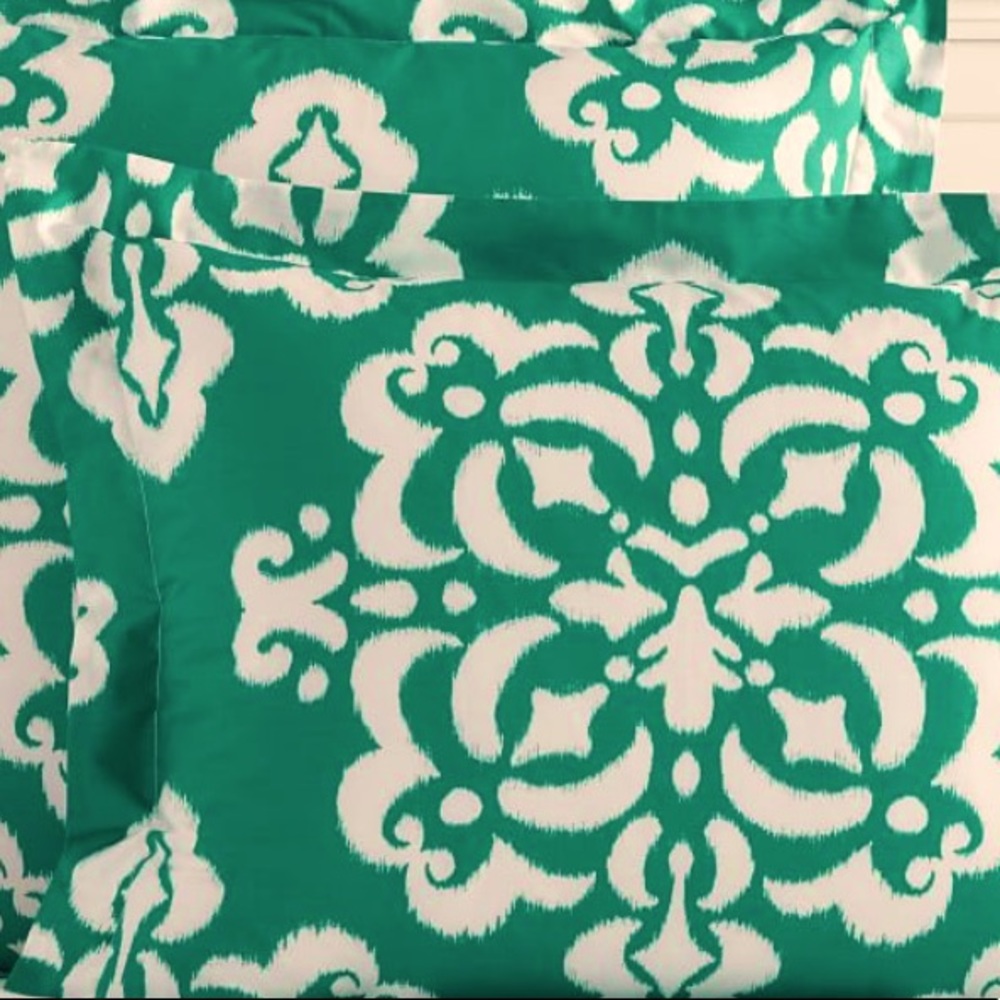 Pottery Barn Teen IKAT Medallion Euro Sham NEW
